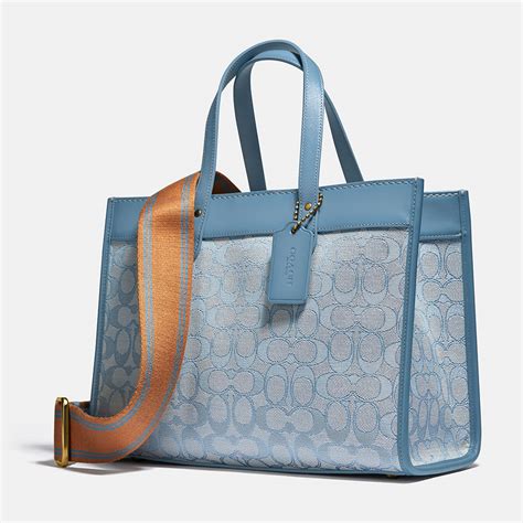 bolsa coach azul